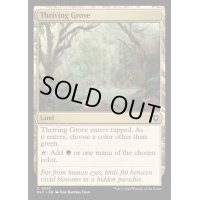 [EX+]興隆する木立/Thriving Grove《英語》【BLC】