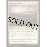 [EX+]興隆する荒野/Thriving Heath《英語》【BLC】