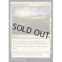[EX+]興隆する荒野/Thriving Heath《英語》【BLC】