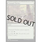 [EX+]平穏な茂み/Tranquil Thicket《英語》【BLC】