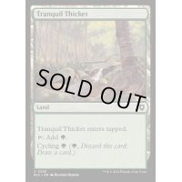 [EX+]平穏な茂み/Tranquil Thicket《英語》【BLC】