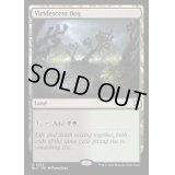 [EX+]緑ばんだ沼/Viridescent Bog《英語》【BLC】