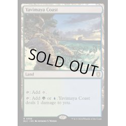 画像1: ヤヴィマヤの沿岸/Yavimaya Coast《英語》【BLC】
