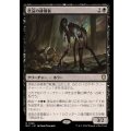 [EX+]悲哀の徘徊者/Woe Strider《日本語》【BLC】