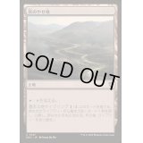 灰のやせ地/Ash Barrens《日本語》【DRC】