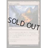 (0154)進化する未開地/Evolving Wilds《日本語》【DRC】