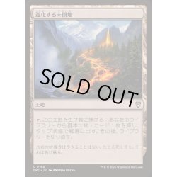画像1: [EX+](0154)進化する未開地/Evolving Wilds《日本語》【DRC】