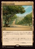 [EX+]風変わりな果樹園/Exotic Orchard《日本語》【DRC】
