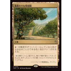 画像1: [EX+]風変わりな果樹園/Exotic Orchard《日本語》【DRC】