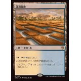 灌漑農地/Irrigated Farmland《日本語》【DRC】