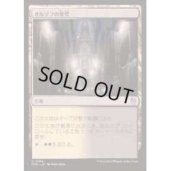 画像1: [EX+]オルゾフの聖堂/Orzhov Basilica《日本語》【DRC】