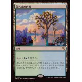 溢れ出た区画/Overflowing Basin《日本語》【DRC】