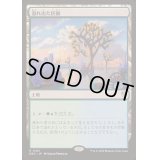 [EX+]溢れ出た区画/Overflowing Basin《日本語》【DRC】