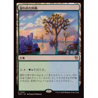 溢れ出た区画/Overflowing Basin《日本語》【DRC】
