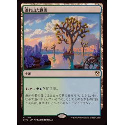 画像1: 溢れ出た区画/Overflowing Basin《日本語》【DRC】