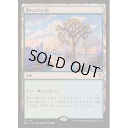画像1: [EX+]溢れ出た区画/Overflowing Basin《日本語》【DRC】