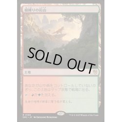 画像1: [EX+]根縛りの岩山/Rootbound Crag《日本語》【DRC】