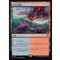 シヴの浅瀬/Shivan Reef《日本語》【DRC】