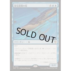 画像1: [EX+]霊気海嘯の鯨/Aethertide Whale《日本語》【DRC】