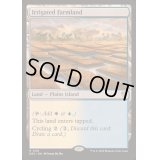 [EX+]灌漑農地/Irrigated Farmland《英語》【DRC】