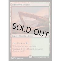 [EX+]隠れた茂み/Sheltered Thicket《英語》【DRC】