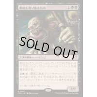墓地を刈り取るもの/Cemetery Reaper《日本語》【DRC】