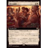 (フルアート)新たな結束/Renewed Solidarity《日本語》【DRC】