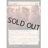 [EX+](フルアート)新たな結束/Renewed Solidarity《日本語》【DRC】