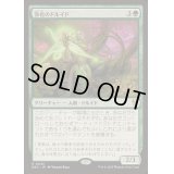 [EX+]浄化のドルイド/Druid of Purification《日本語》【DRC】