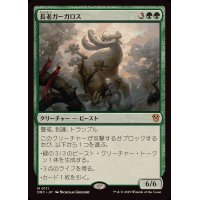 長老ガーガロス/Elder Gargaroth《日本語》【DRC】