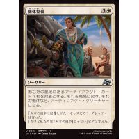 (FOIL)機体整備/Tune Up《日本語》【DFT】