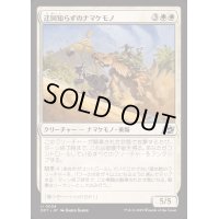 迂回知らずのナマケモノ/Unswerving Sloth《日本語》【DFT】