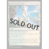 [EX+]花咲く砂地/Blossoming Sands《英語》【DFT】