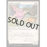 (FOIL)睡蓮守りの信奉者/Lotusguard Disciple《日本語》【DFT】