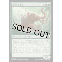 [EX+]僭王マンモス/Autarch Mammoth《日本語》【DFT】