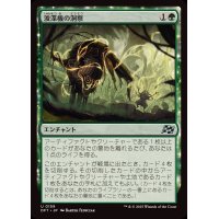 [EX+](FOIL)浚渫機の洞察/Dredger's Insight《日本語》【DFT】