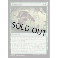 [EX+]浚渫機の洞察/Dredger's Insight《日本語》【DFT】