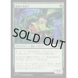 (FOIL)脱皮の世話人/Molt Tender《日本語》【DFT】