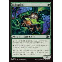 脱皮の世話人/Molt Tender《日本語》【DFT】