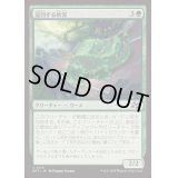 [EX+]巡回する軟泥/Ooze Patrol《日本語》【DFT】