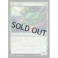 [EX+]巡回する軟泥/Ooze Patrol《日本語》【DFT】