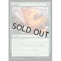 [EX+]進路開通/Plow Through《日本語》【DFT】