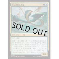 [EX+](FOIL)探し求める空蛇/Skyserpent Seeker《日本語》【DFT】