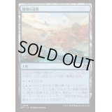 珊瑚の道路/Reef Roads《日本語》【DFT】