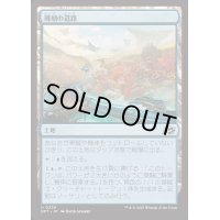 [EX+]珊瑚の道路/Reef Roads《日本語》【DFT】