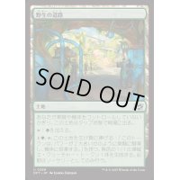 [EX+]野生の道路/Wild Roads《日本語》【DFT】