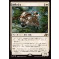 (FOIL)防壁の雄牛/Bulwark Ox《日本語》【DFT】