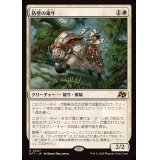 防壁の雄牛/Bulwark Ox《日本語》【DFT】
