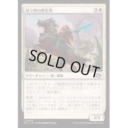 画像1: (FOIL)煌々野の野生馬/Brightfield Mustang《日本語》【DFT】