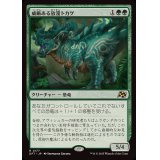 威厳ある放漫トカゲ/Regal Imperiosaur《日本語》【DFT】